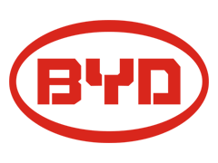 BYD Icon