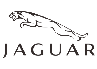 Jaguar Icon